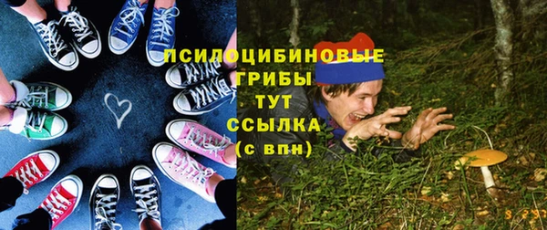 PSILOCYBIN Богородицк