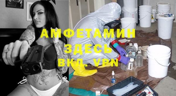 PSILOCYBIN Богородицк